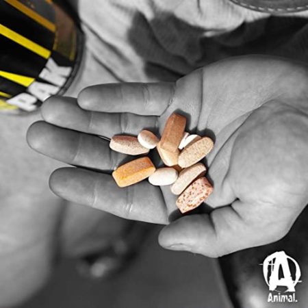 Animal Pak - Immune System Support - Vitamin C + Zinc + Multivitamins, Amino Acids, Performance Complex and More - For Elite Athletes and Bodybuilders - Complete, All-in-one, Packs - 44 Packs